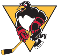 Wilkes-Barre Scranton Penguins